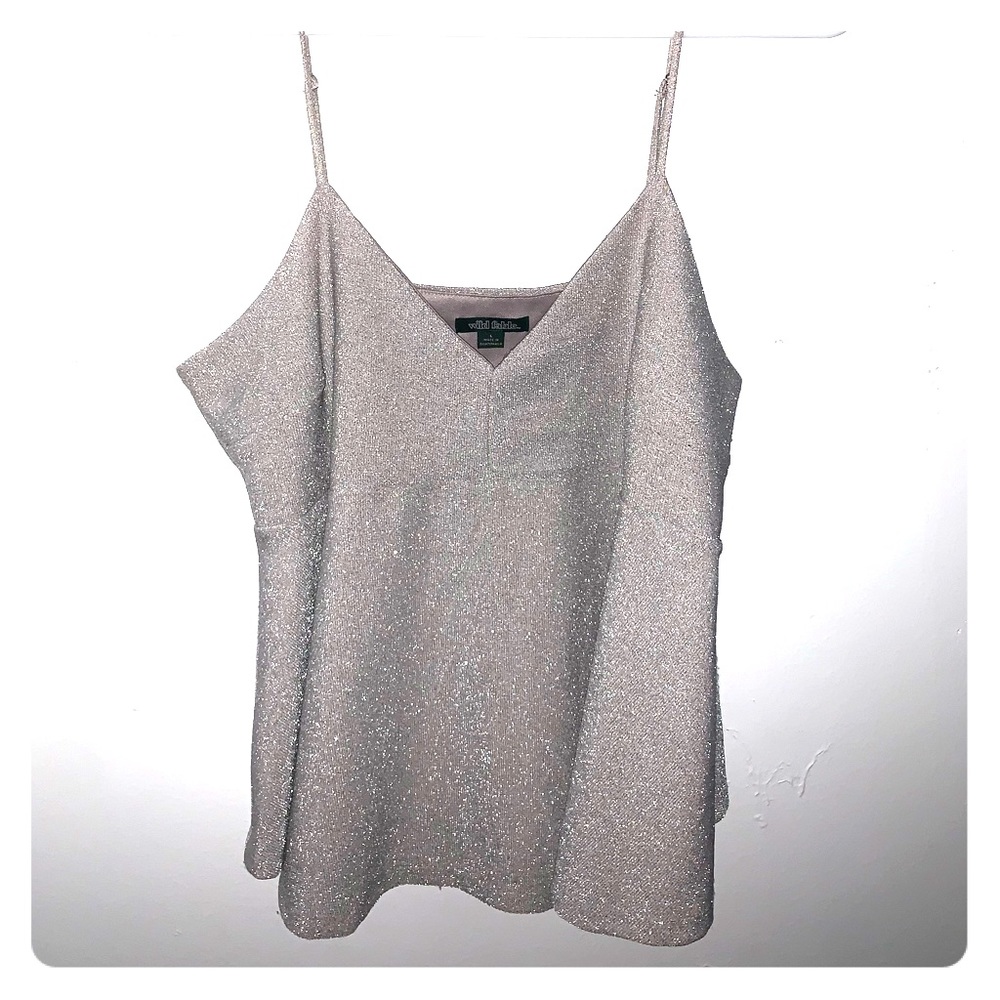 Wild Fable Sparkly Top